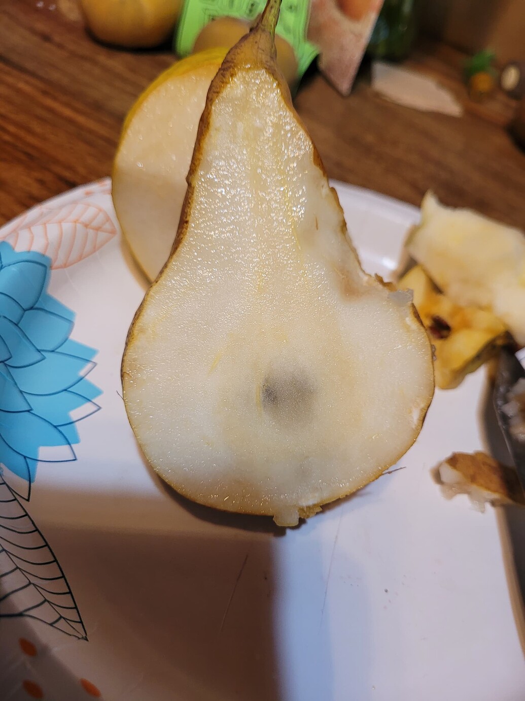 Beurre D'Anjou and Beurre Bosc General Fruit Growing Growing Fruit