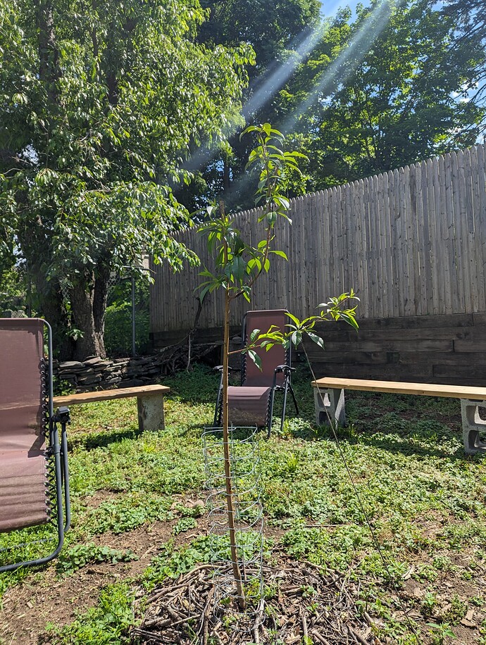 PXL_20240607_142712338.MP