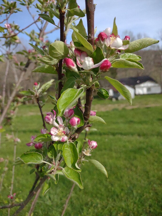 IMG_20250416_172005972