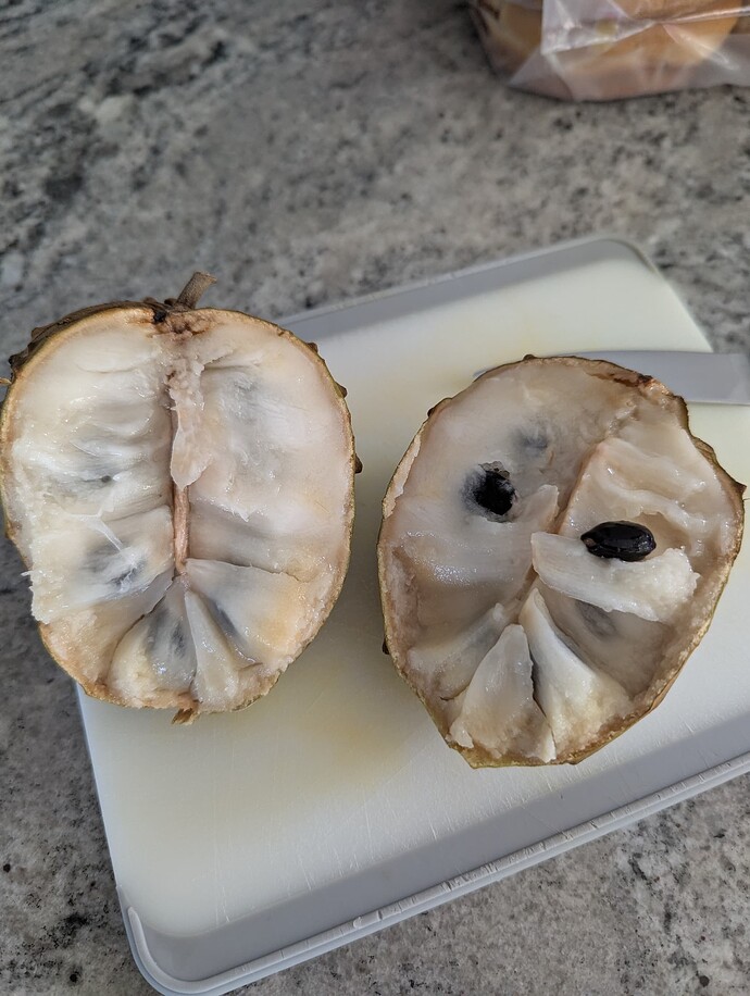 PXL_20250526_130859507