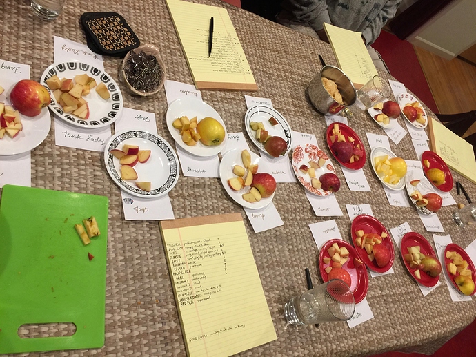 home apple tasting with store apples