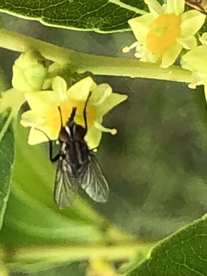 F1B88B23-0680-4DAF-BD12-005DC8ECE1AA