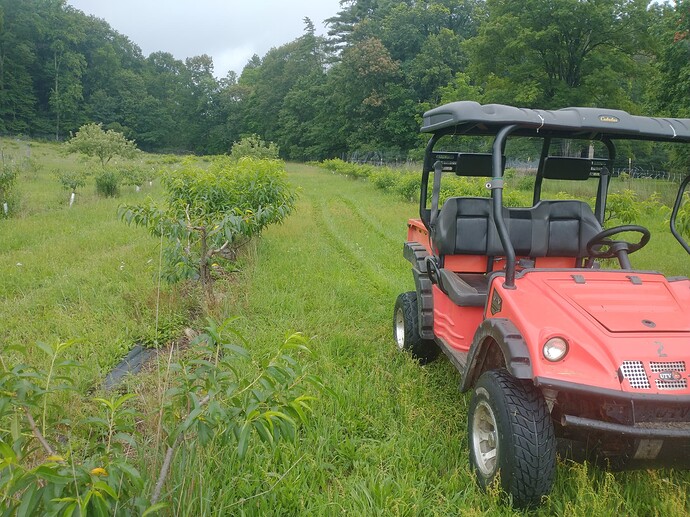 IMG_20230702_094902437