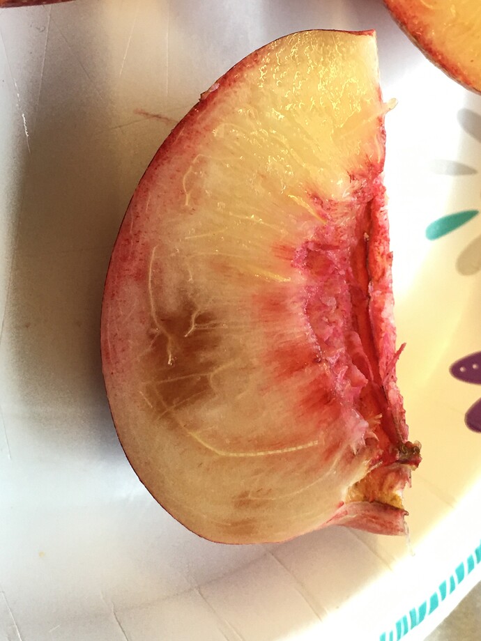 Problem with subacid nectarines in humid regions General Fruit