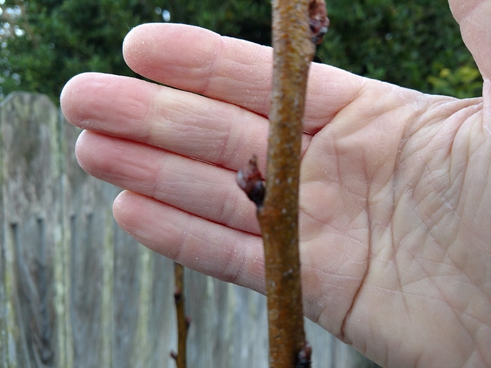 IMG_20180131_073150214