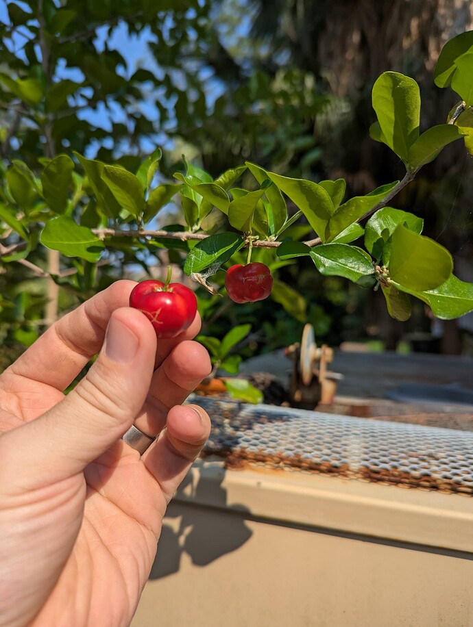 PXL_20250526_205540661