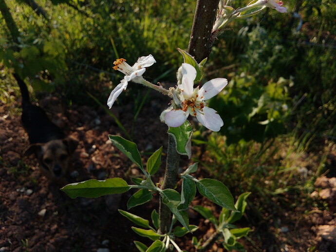 IMG_20220509_080004