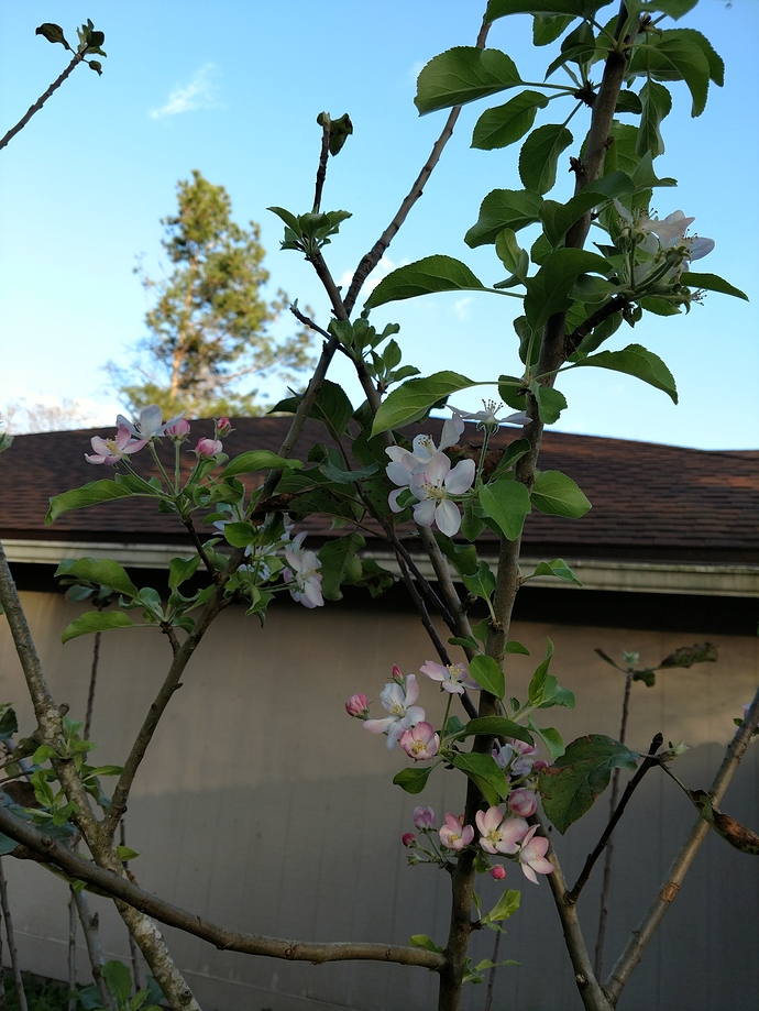 IMG_20180216_173242894