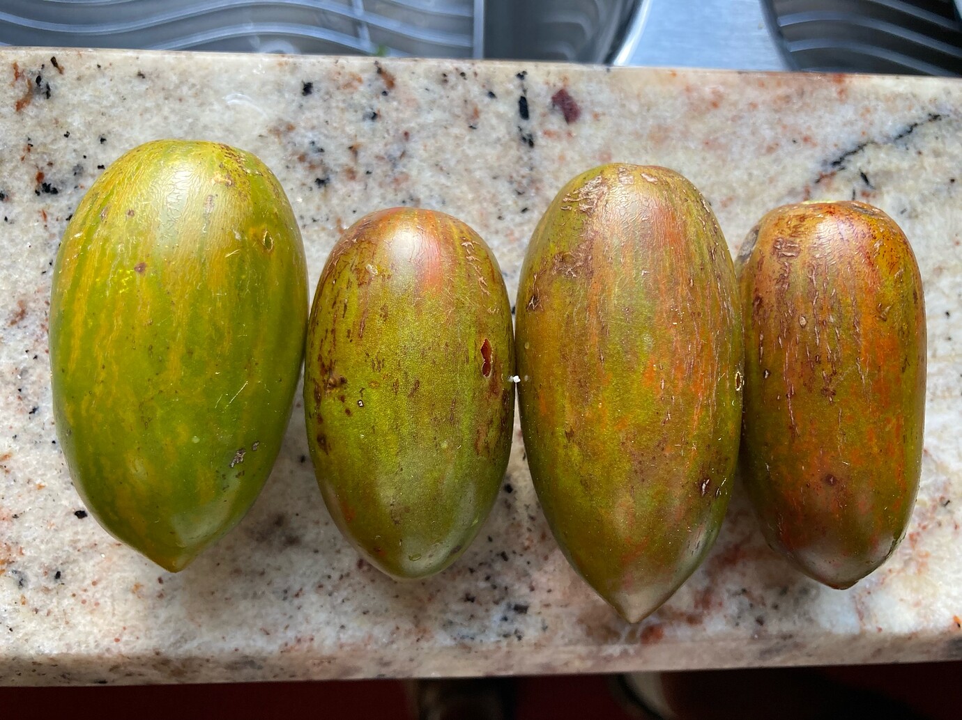 Review Copper Beauty tomato General Gardening Growing Fruit