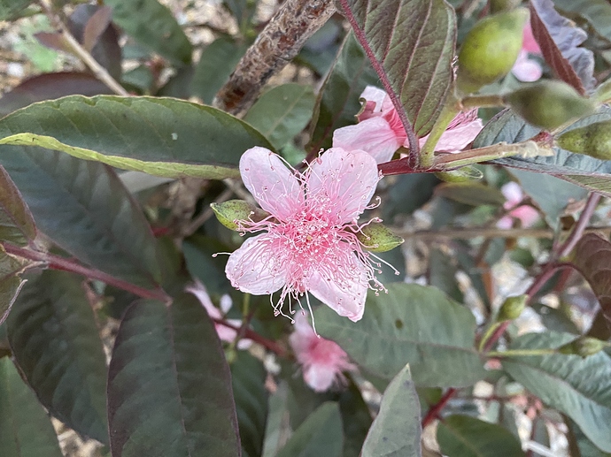 EF4B91E4-5F20-47CC-9725-F2C83353C0DE