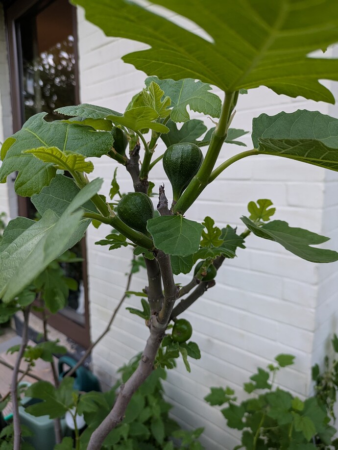 PXL_20250506_231714526