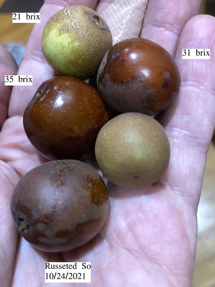 Russeted_So_10-24-2021