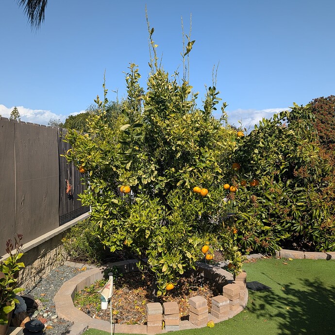 PXL_20250403_225227918