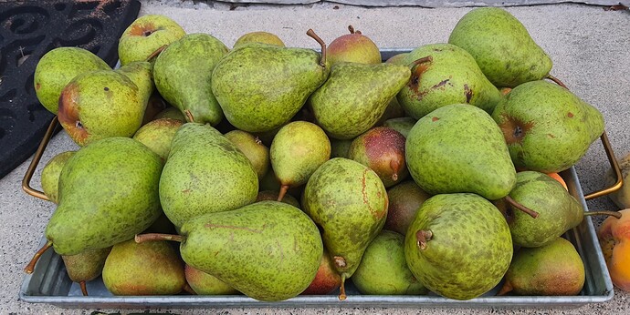 Pears 08-18-21