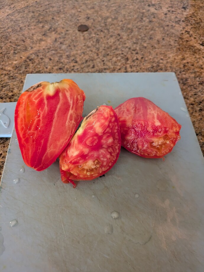 PXL_20240716_005419771.MP