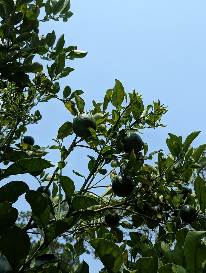 PXL_20250601_180939270