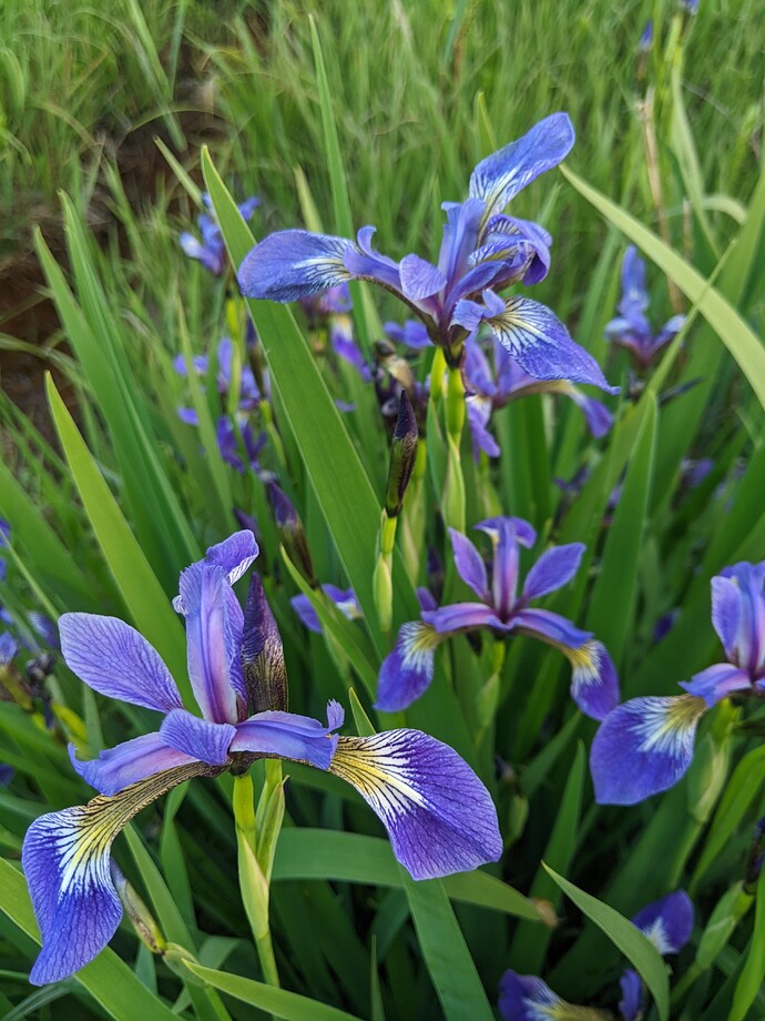 PXL_20220606_233141332