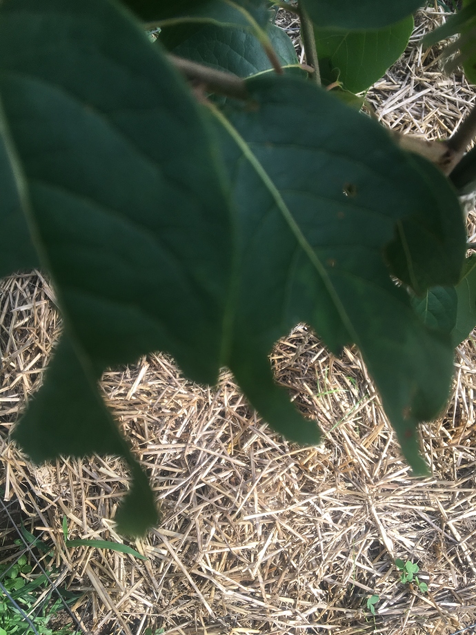 0141F8A6-E468-49DA-B461-E89F4E5F7B66