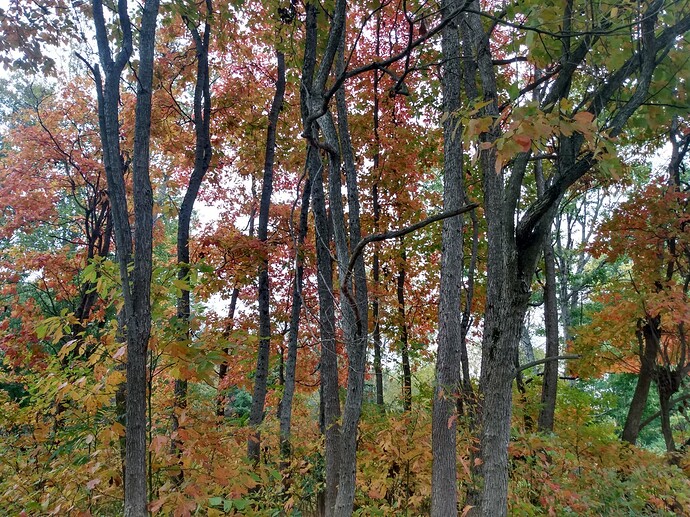 IMG_20231016_170022731_HDR