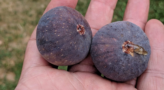 I-258%2009-26-2019%20C