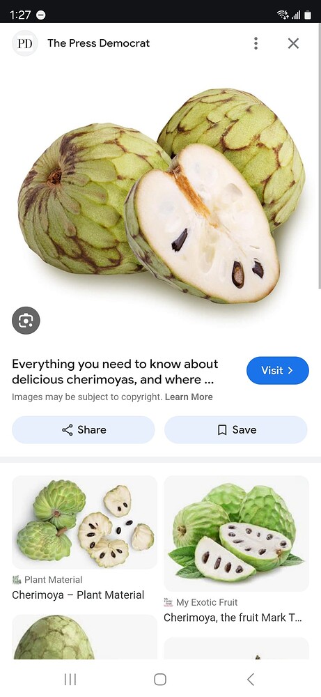 Screenshot_20241128_012750_Chrome