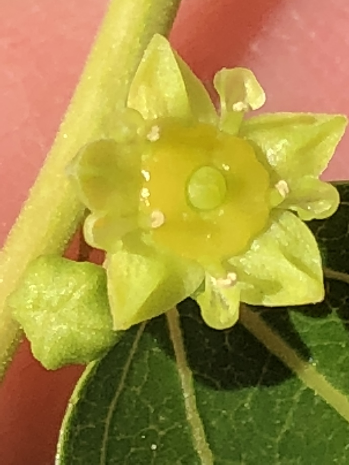 360D4FDC-B7A8-474A-98E1-6055DD420BCB