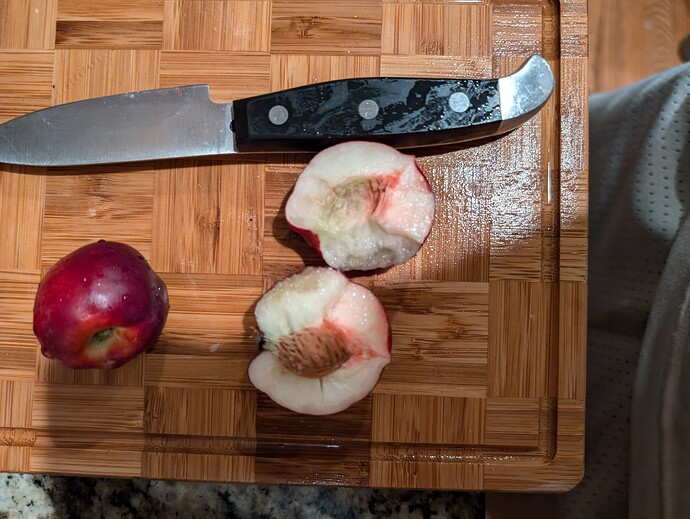 PXL_20240711_005217847