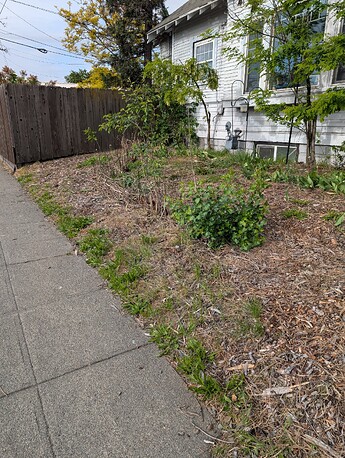 PXL_20250523_003752843