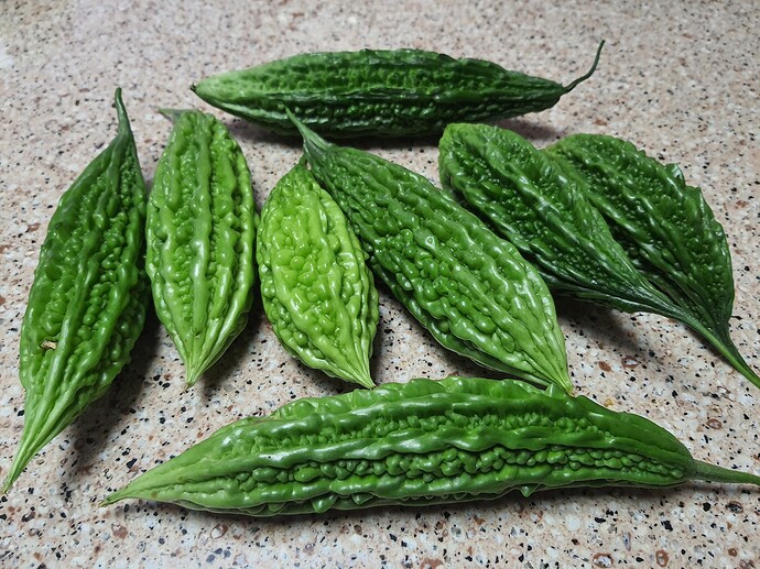 Bittermelon 08-23-21