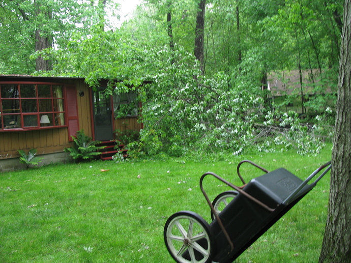 cottage%20May%202011%20008