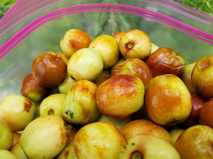 15999346716587069423013697023530