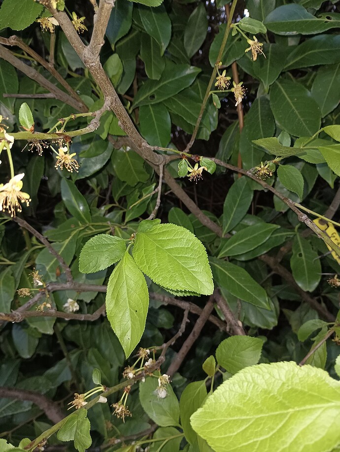 IMG_20250419_190148943