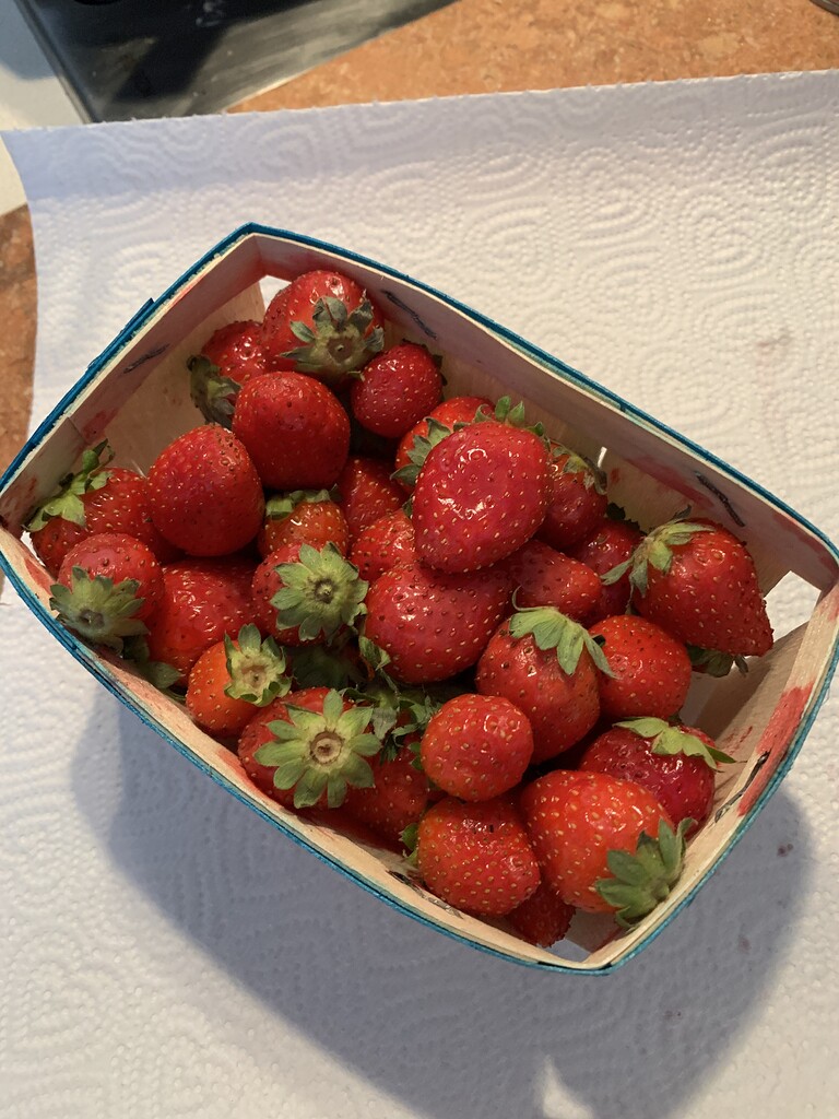 The best Strawberry in France General Fruit Growing Growing Fruit