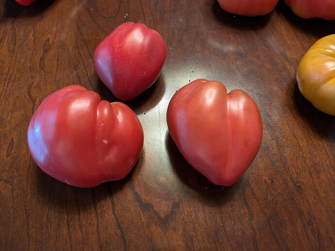 PXL_20240716_005232685