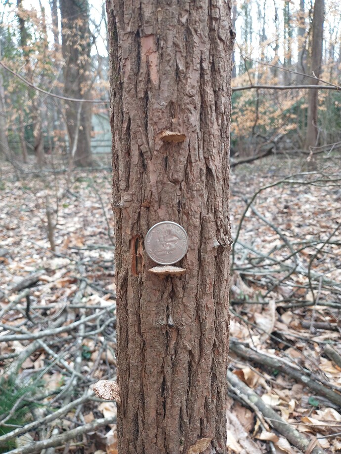 IMG_20240228_102356312