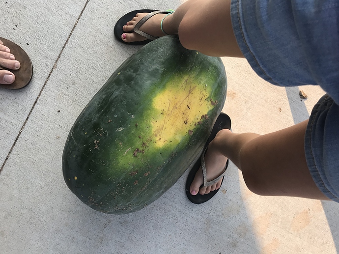 29FD4B76-5B2F-4E74-8AB7-172E56C5EC6C