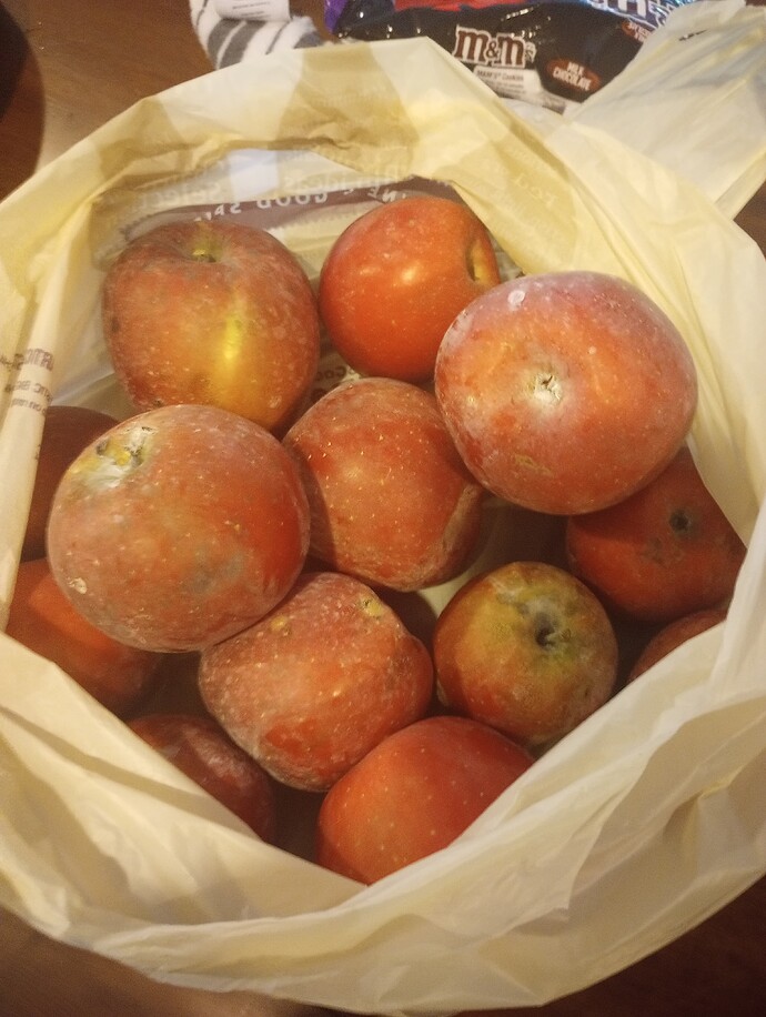 IMG_20221029_130214968