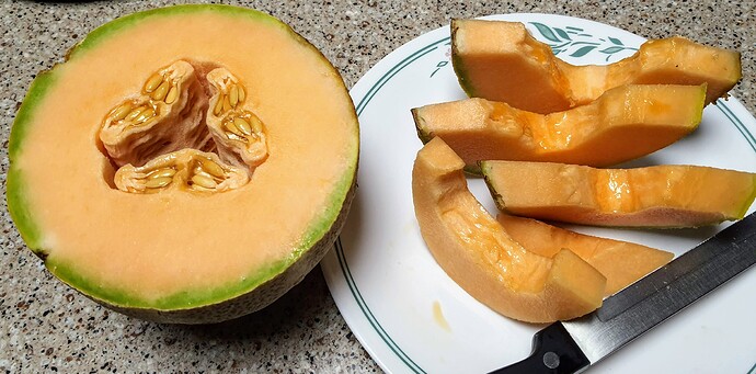 August  21,2021 Melons 3