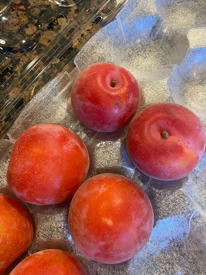 456087291_1241835160503554_1653858672353161479_n