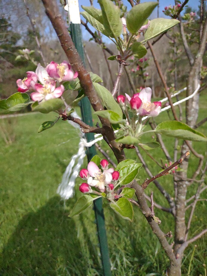 IMG_20250416_171944132