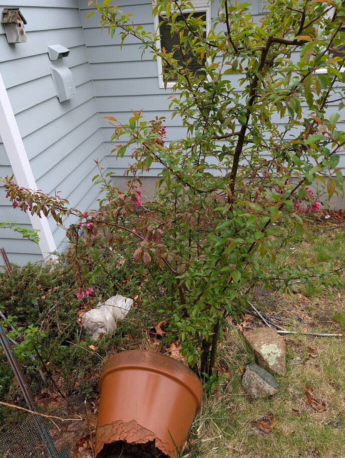 PXL_20250426_153108284