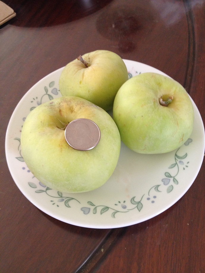 Fuji%20apple%20%20%20