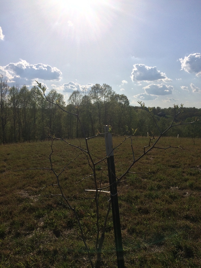 B915D833-390A-428F-B191-C00D3413D901