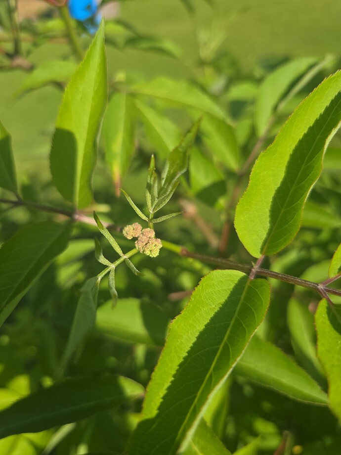 38ec90d4-4794-4d38-8e6a-9fd870fe797c