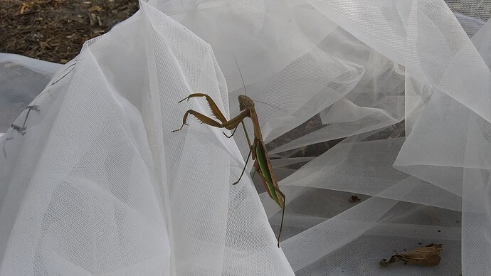 18132760-d248-495a-afa2-8973748b9d73-1_all_9474