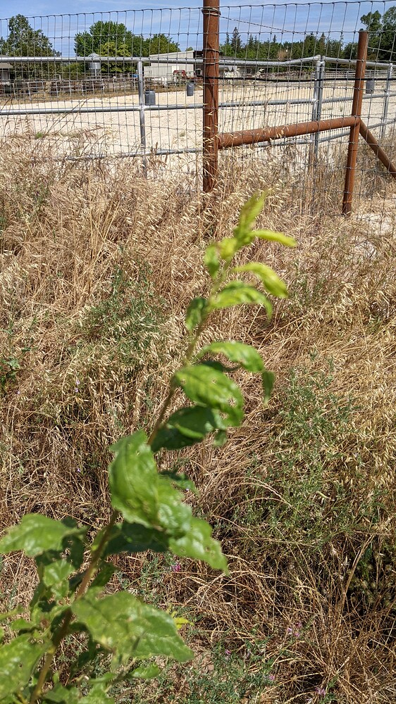 PXL_20220528_173000437