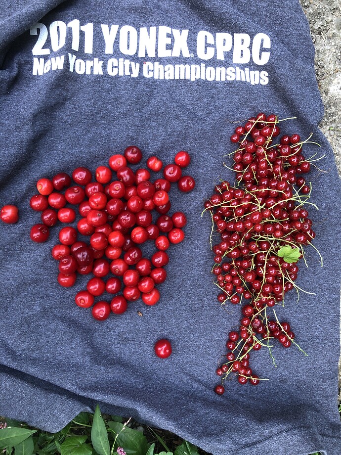 Carmine_Jewel_and currants_ss_06-21-2021