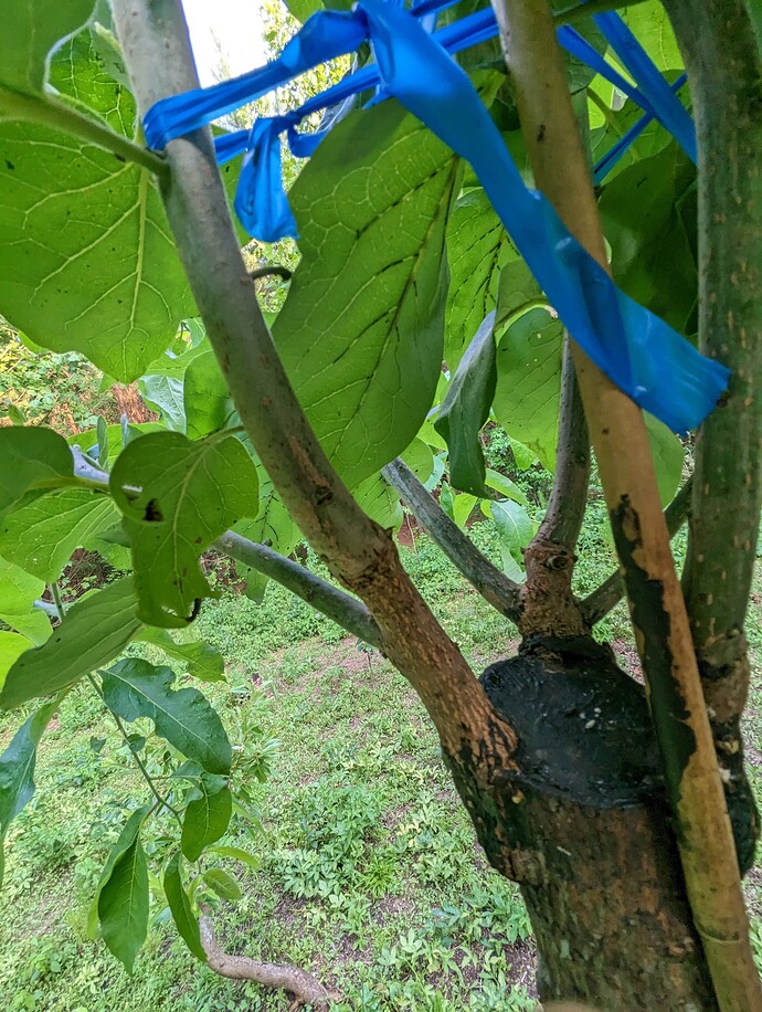 PXL_20230627_232002641