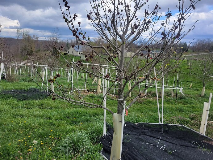 435000928_436362752123147_3303286596629762087_n