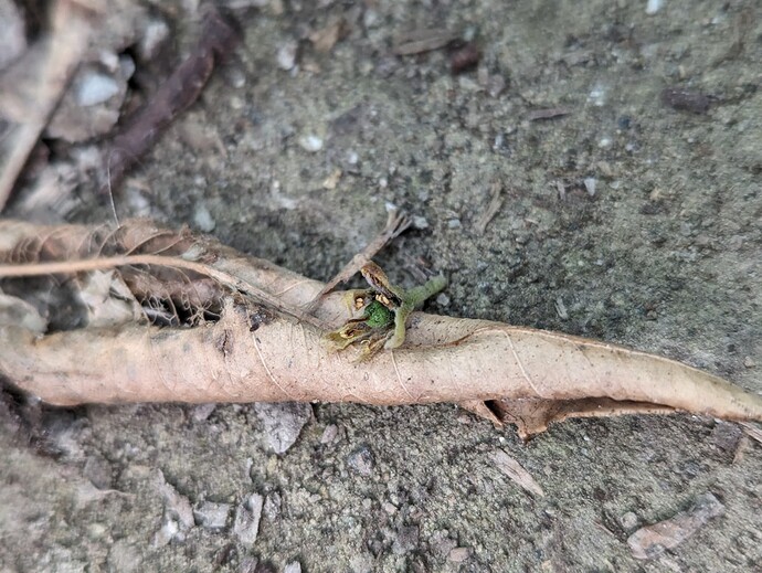 PXL_20240531_024332713